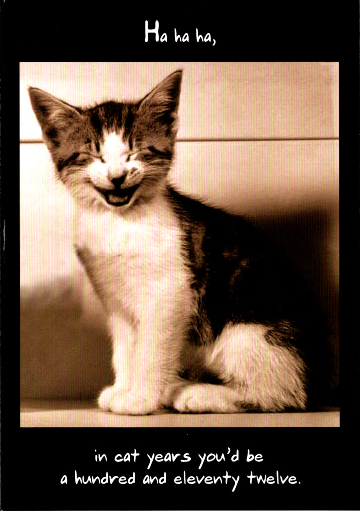 Cat- Humor Birthday card. Retail $2.99. Inside: Happy Birthday. | 05110A | 255415