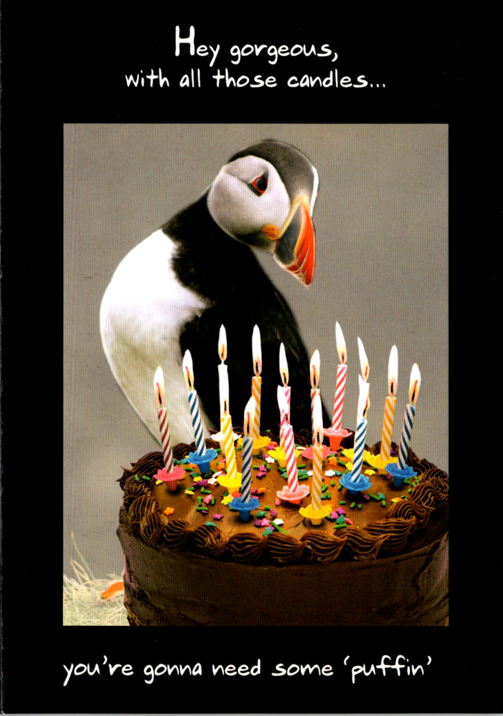 Penguin- Humor Birthday card. Retail $2.99. Inside: Happy Birthday. | 05118A | 255416