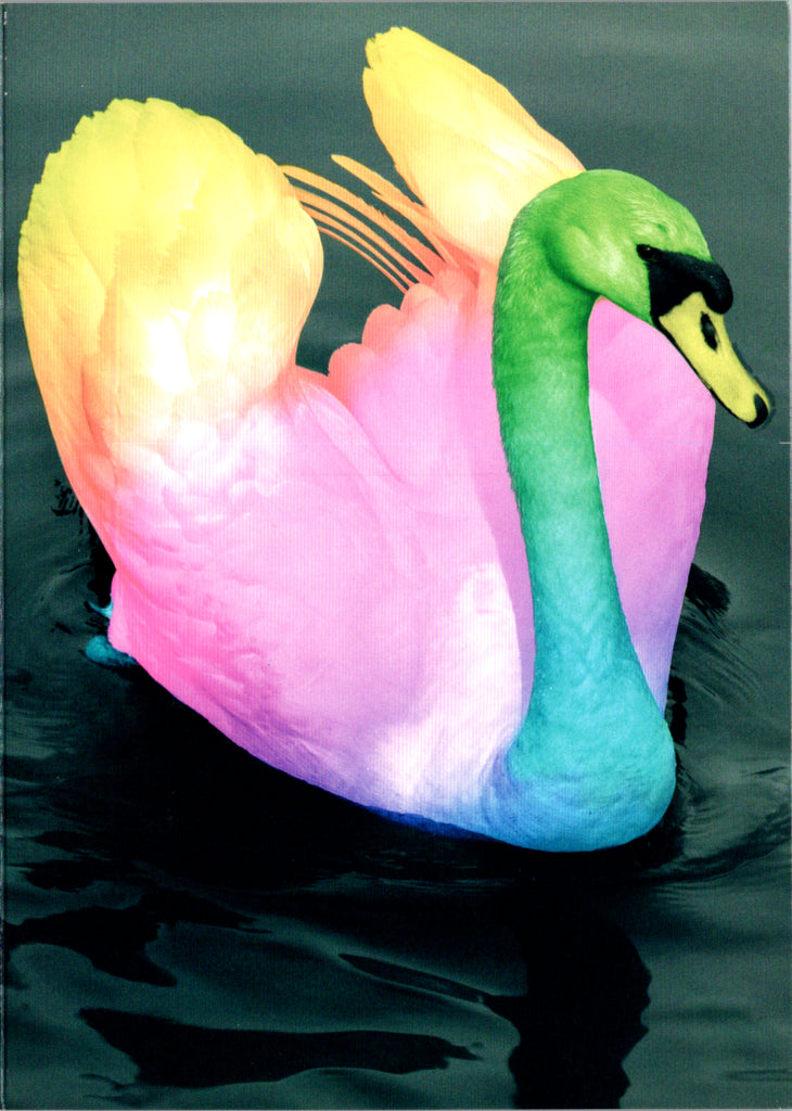 Swan Blank Greeting Card Retail $2.99. Inside: BLANK | 8363 | 255450