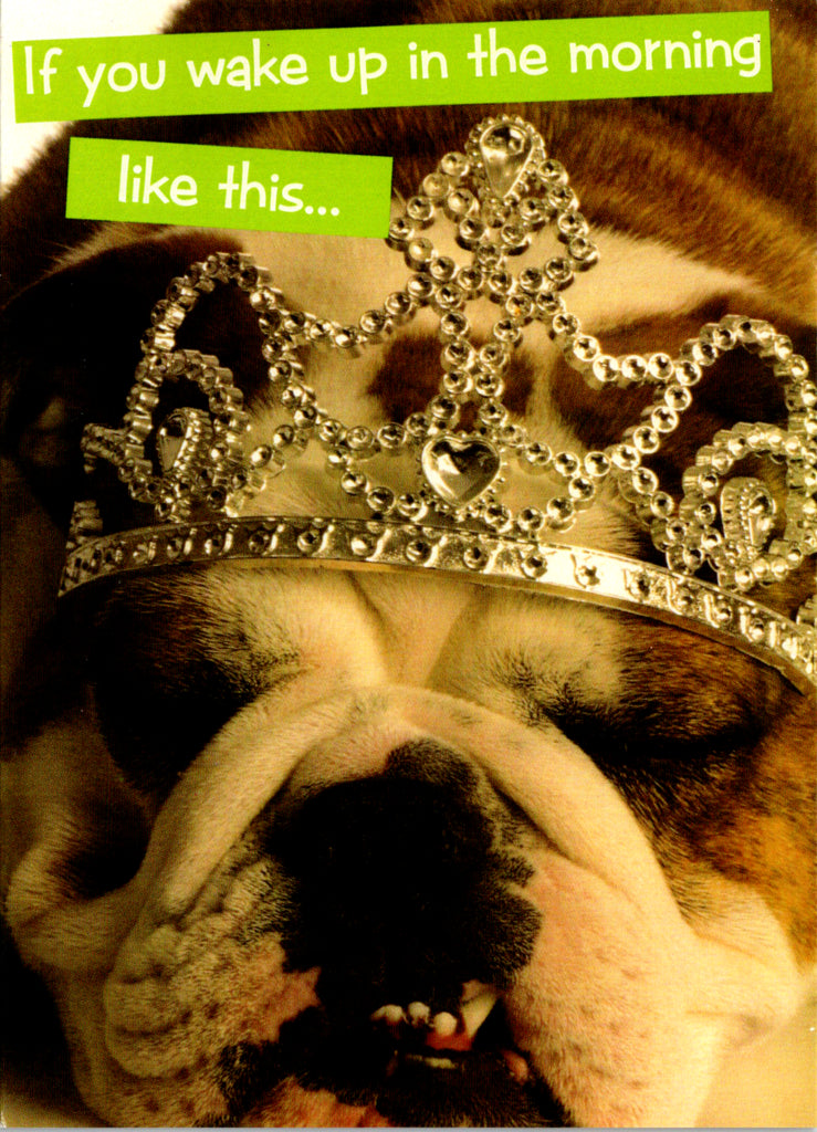 Quirky Critters- Tiara Dog-  General Birthday. Retail $2.99 Inside: Just assume it was a good night and move on. 5x7 Greeting Card | 7423 | 255594