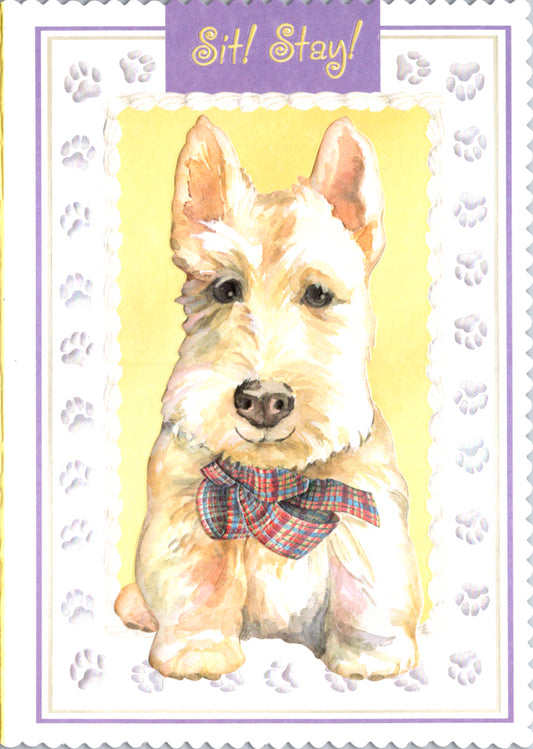 Puppy says Sit Stay! embossed die cut get well greeting card by Carol Wilson Inside Heal! Wishing you a speedy recovery. Retail $4.99  | CRG1666 | 255602