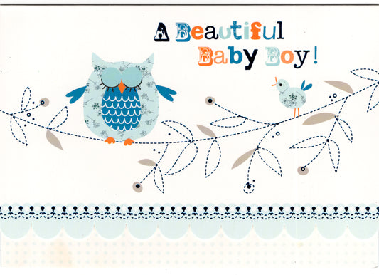 Blue owl new baby boy greeting card. Retail $2.99  Inside: Congratulations on your little bundle of joy. | 5204 | 255616