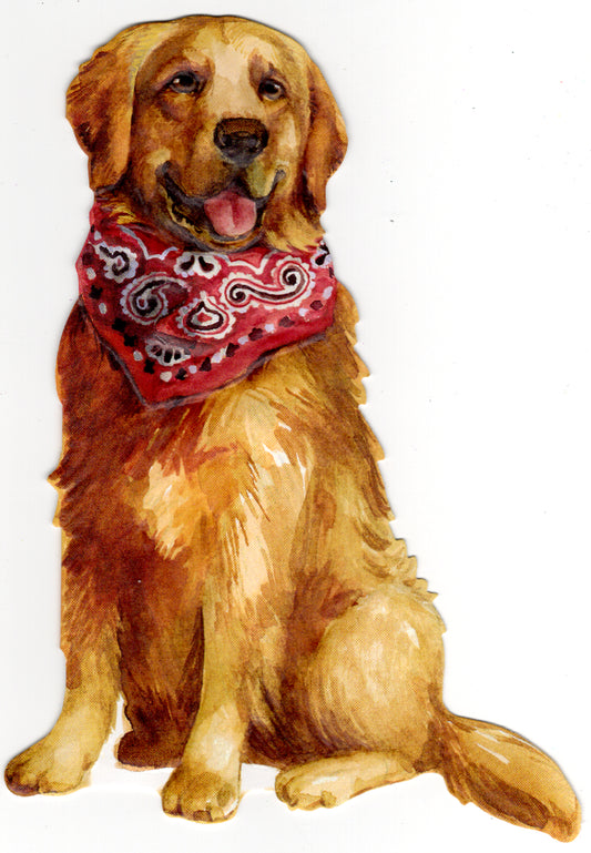 Golden Retriever greeting card by Carol Wilson. Blank inside. Retail $2.95 | CG1230 | 255654