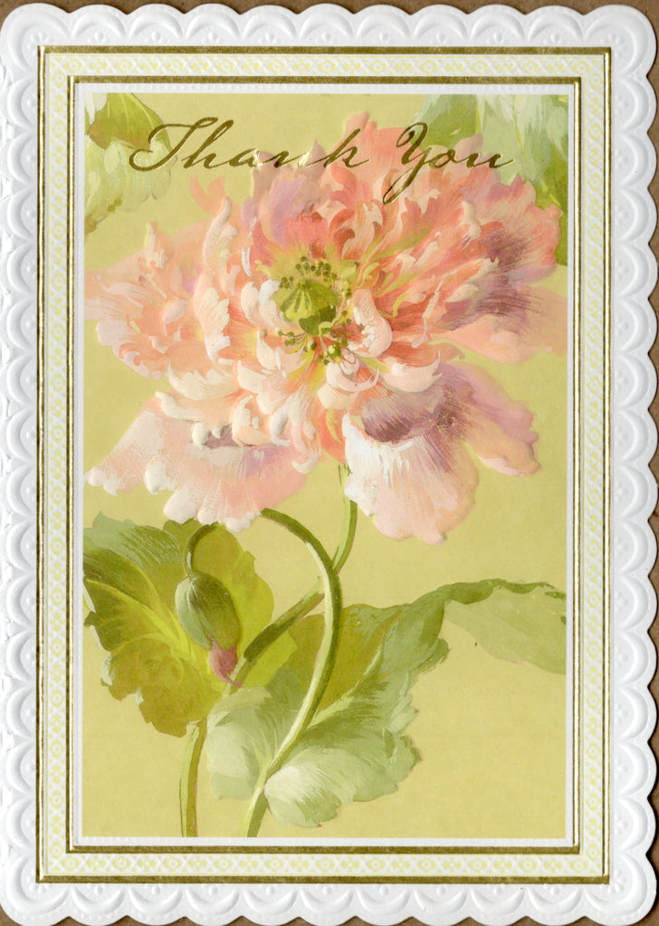 Apricot rose embossed die cut thank you greeting card by Carol Wilson Inside: Thank you for everything. Retail $4.25  | CRG1466 | 255683