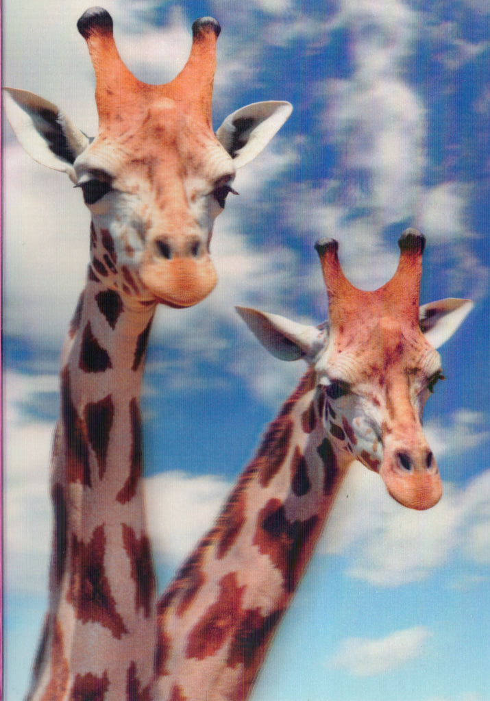 3D Giraffes Blank Greeting Card Retail $3.99. Inside: Blank | 5673 | 255841