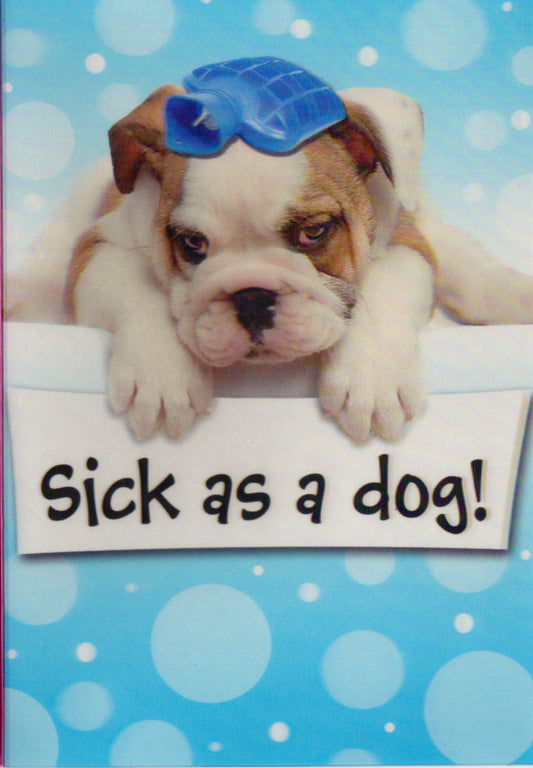 3D Sick dog get well Greeting Card Retail $3.99. Inside: Blank | 6400 | 255937