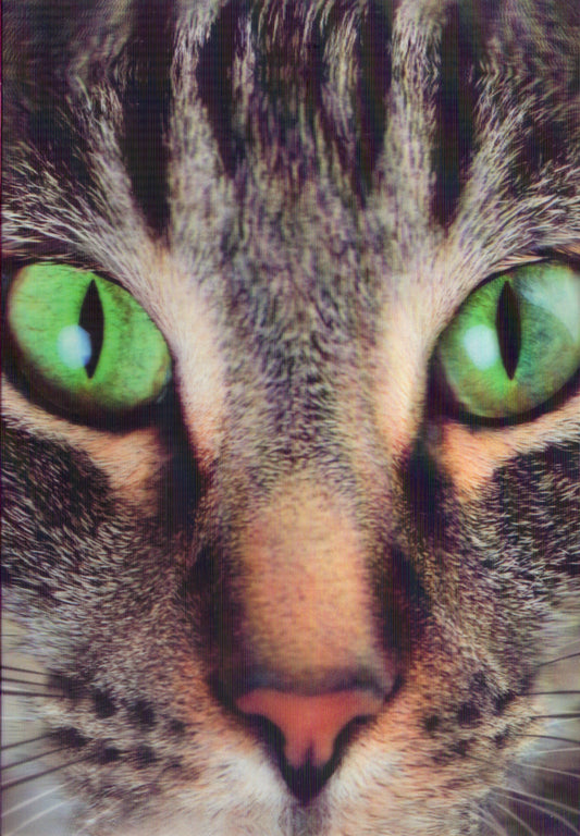 3D Green eyed cat Blank Greeting Card Retail $3.99. Inside: Blank | 5672 | 255948