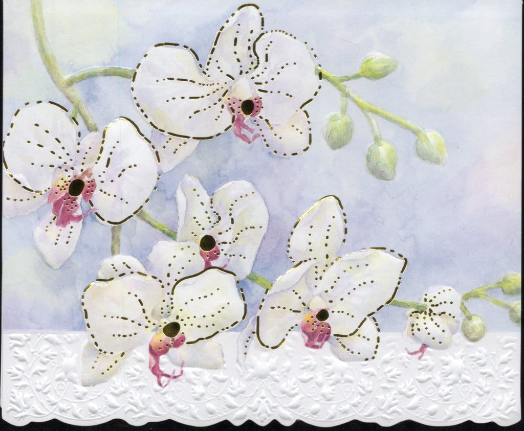 White Orchid Portfolio Boxed Note Cards by Carol Wilson. 10 embossed 4x5 Die-Cut Notecards and Matching Envelopes in Decorative Gift Box with Magnetic Flap. NCP2213 | 256018