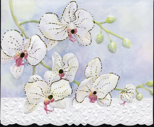 White Orchid Portfolio Boxed Note Cards by Carol Wilson. 10 embossed 4x5 Die-Cut Notecards and Matching Envelopes in Decorative Gift Box with Magnetic Flap. NCP2213 | 256018