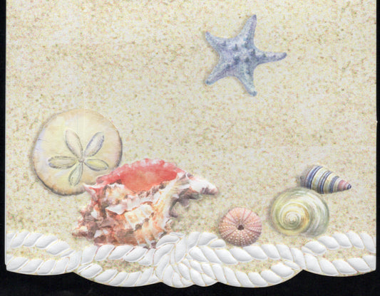 Sea Shells Portfolio Boxed Note Cards by Carol Wilson. 10 embossed 4x5 Die-Cut Notecards and Matching Envelopes in Decorative Gift Box with Magnetic Flap. NCP2343 | 256022