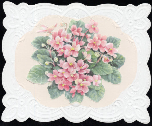 African Violets Portfolio Boxed Note Cards by Carol Wilson. 10 embossed 4x5 Die-Cut Notecards and Matching Envelopes in Decorative Gift Box with Magnetic Flap. NCP2201 | 256029