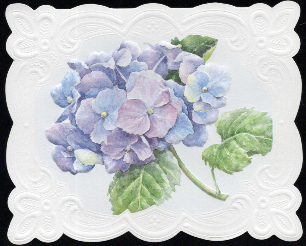 Blue Hydrangea Portfolio Boxed Note Cards by Carol Wilson. 10 embossed 4x5 Die-Cut Notecards and Matching Envelopes in Decorative Gift Box with Magnetic Flap. NCP2101 | 256036