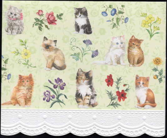 Kittens Cats Portfolio Boxed Note Cards by Carol Wilson. 10 embossed 4x5 Die-Cut Notecards and Matching Envelopes in Decorative Gift Box with Magnetic Flap. NCP2371 | 256040