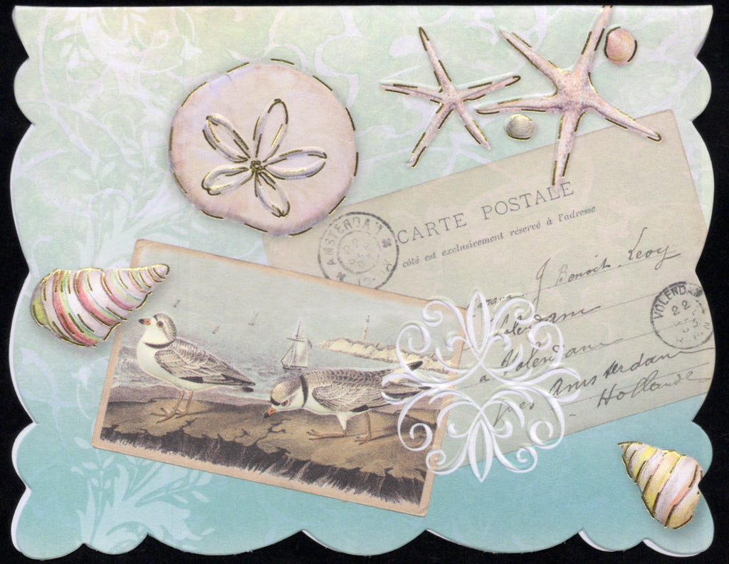 Seaside Portfolio Boxed Note Cards by Carol Wilson. 10 embossed 4x5 Die-Cut Notecards and Matching Envelopes in Decorative Gift Box with Magnetic Flap. NCP4016 | 256076