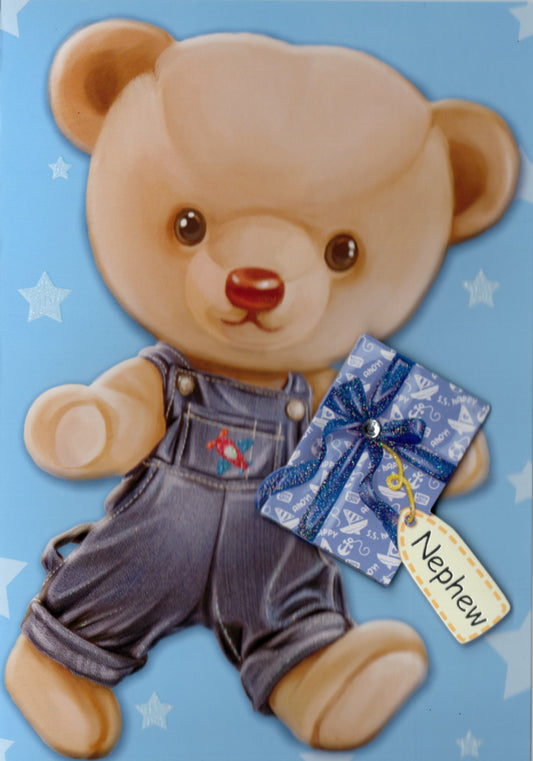 Teddy- Niece family birthday card. Retail $2.99. Inside: With love and best wishes... | 6950 | 256081