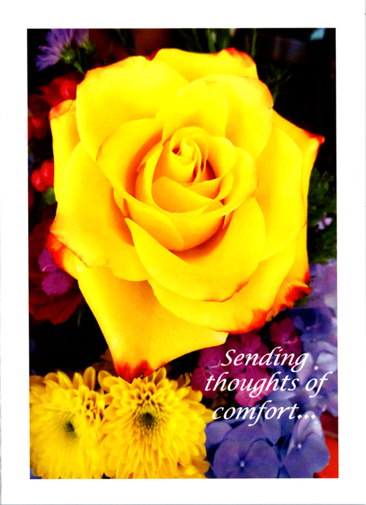 Yellow rose sympathy; inside message Our condolences on your loss Greeting Card Retail $3.99 | DGC1008 | 256098