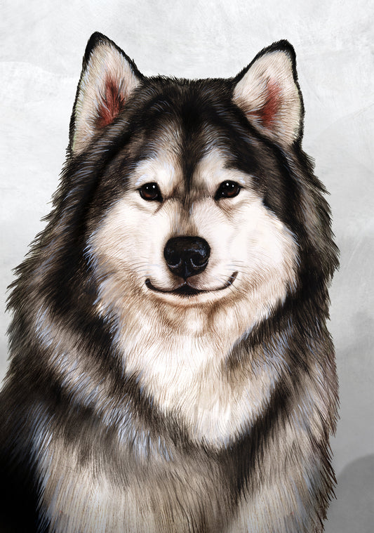 Alaskan Malamute Dog by Tamara Burnett Blank Greeting Card 5x7 | 1005 | 259148