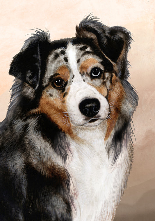 Australian Shepherd Dog by Tamara Burnett Blank Greeting Card 5x7 | 1006 | 259149