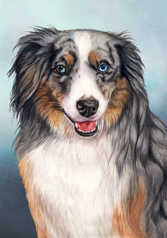 American Shepherd Dog by Tamara Burnett Blank Greeting Card 5x7 | 1010 | 259153