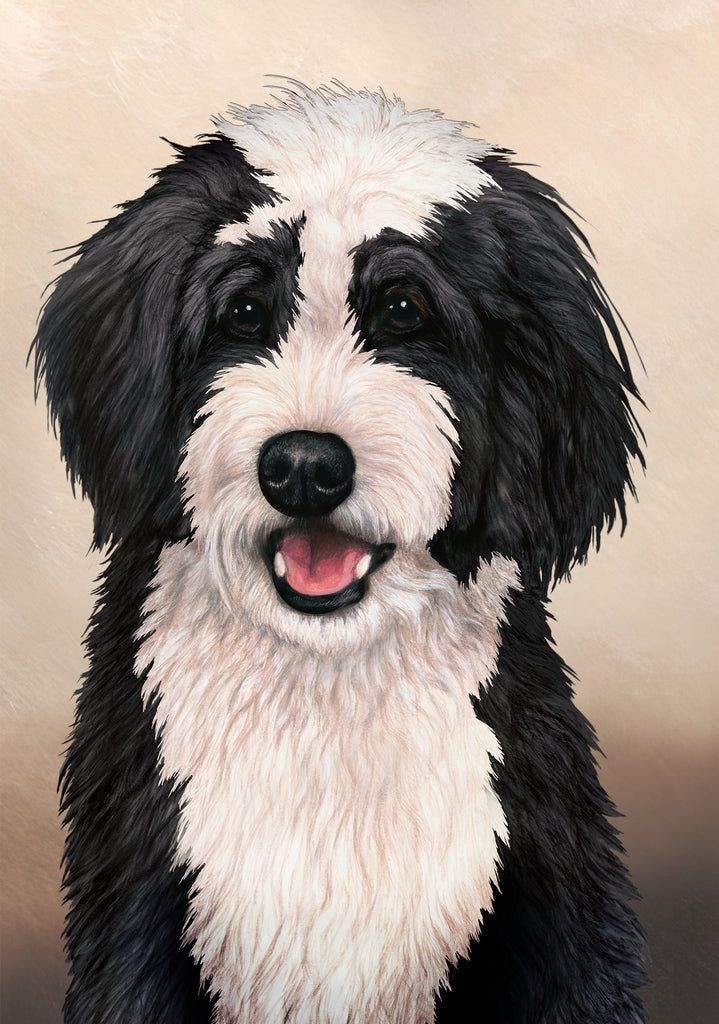 Bernedoodle Dog by Tamara Burnett Blank Greeting Card 5x7 | 1011 | 259154