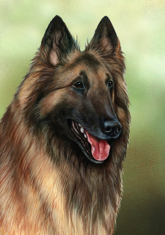 Belgian Tervuren Dog by Tamara Burnett Blank Greeting Card 5x7 | 1016 | 259159