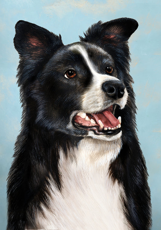 Border Collie Dog by Tamara Burnett Blank Greeting Card 5x7 | 1018 | 259161