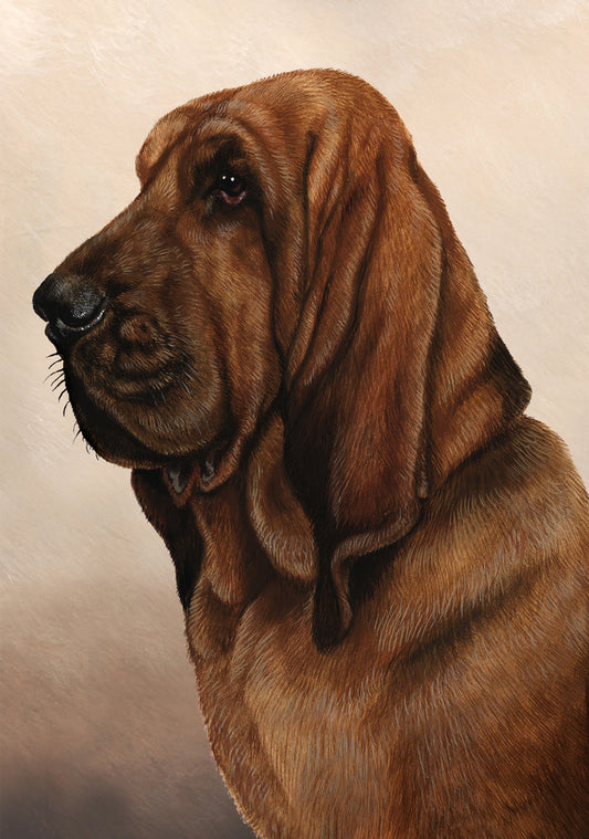 Bloodhound Dog by Tamara Burnett Blank Greeting Card 5x7 | 1019 | 259162