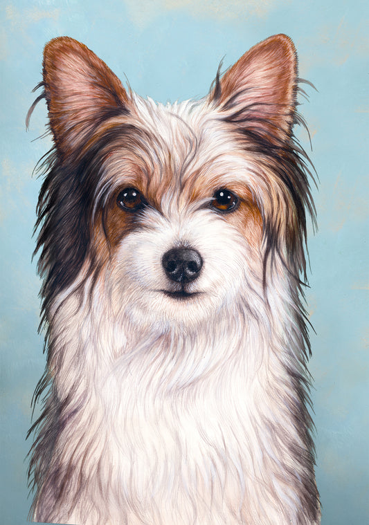 Biewer Terrier Dog by Tamara Burnett Blank Greeting Card 5x7 | 1020 | 259163