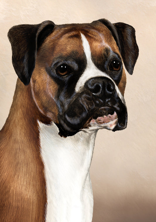 Boxer Dog by Tamara Burnett Blank Greeting Card 5x7 | 1021 | 259164