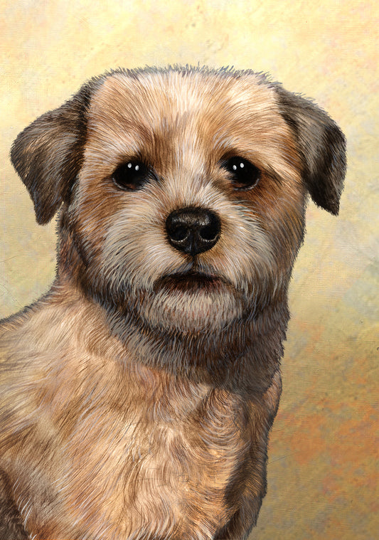 Border Terrier Dog by Tamara Burnett Blank Greeting Card 5x7 | 1022 | 259165