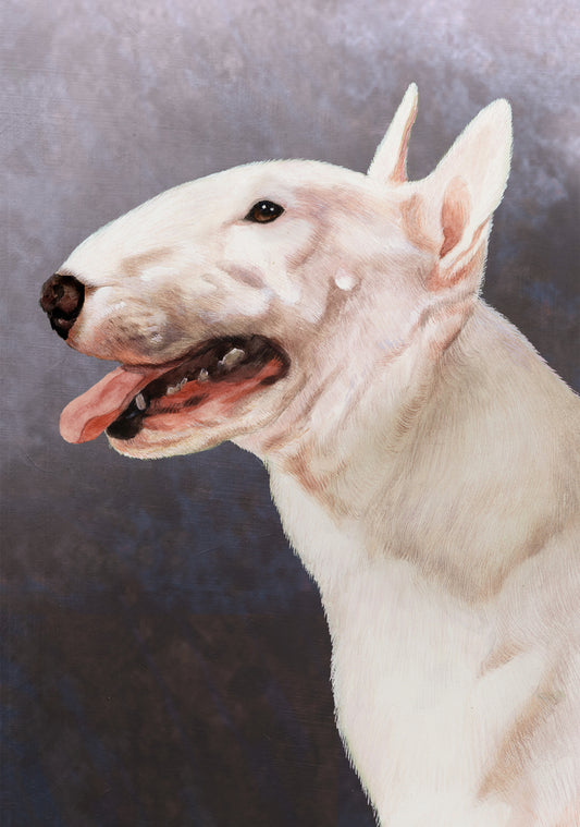 Bull Terrier Dog by Tamara Burnett Blank Greeting Card 5x7 | 1023 | 259166