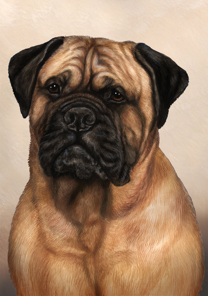 Bullmastiff Dog by Tamara Burnett Blank Greeting Card 5x7 | 1027 | 259170