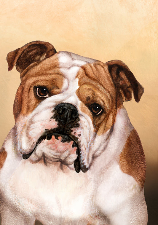 Bulldog Dog by Tamara Burnett Blank Greeting Card 5x7 | 1028 | 259171