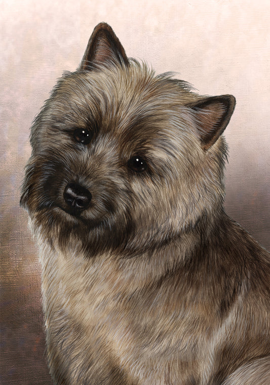 Cairn Terrier Dog by Tamara Burnett Blank Greeting Card 5x7 | 1030 | 259173