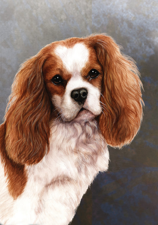 Cavalier King Charles Spaniel Dog by Tamara Burnett Blank Greeting Card 5x7 | 1032 | 259175