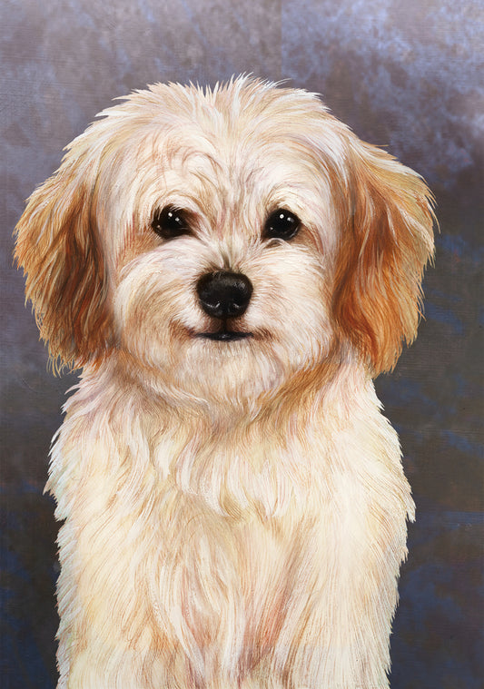 Cavachon Corgi Dog by Tamara Burnett Blank Greeting Card 5x7 | 1033 | 259176