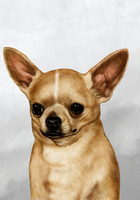 Chihuahua Dog by Tamara Burnett Blank Greeting Card 5x7 | 1035 | 259178