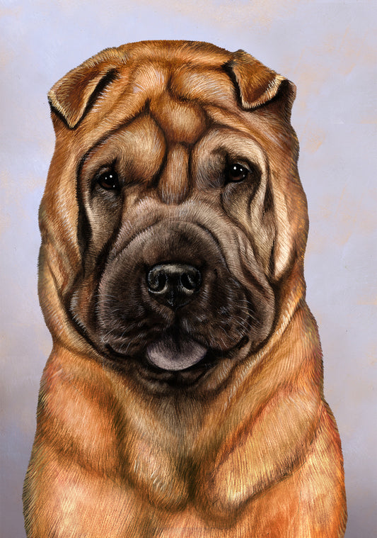 Chinese Shar Pei Dog by Tamara Burnett Blank Greeting Card 5x7 | 1037 | 259180