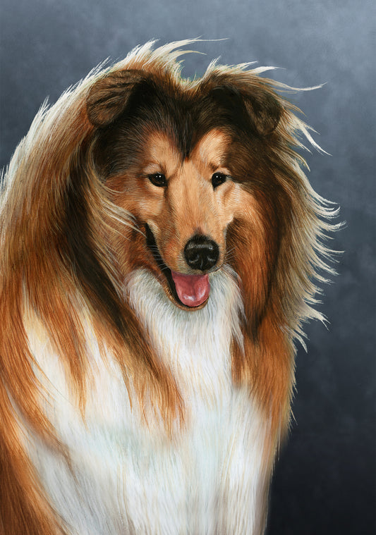 Collie Dog by Tamara Burnett Blank Greeting Card 5x7 | 1039 | 259182