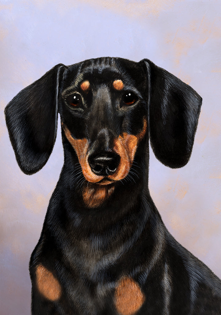 Dachshund Black and Tan Dog by Tamara Burnett Blank Greeting Card 5x7 | 1043 | 259186