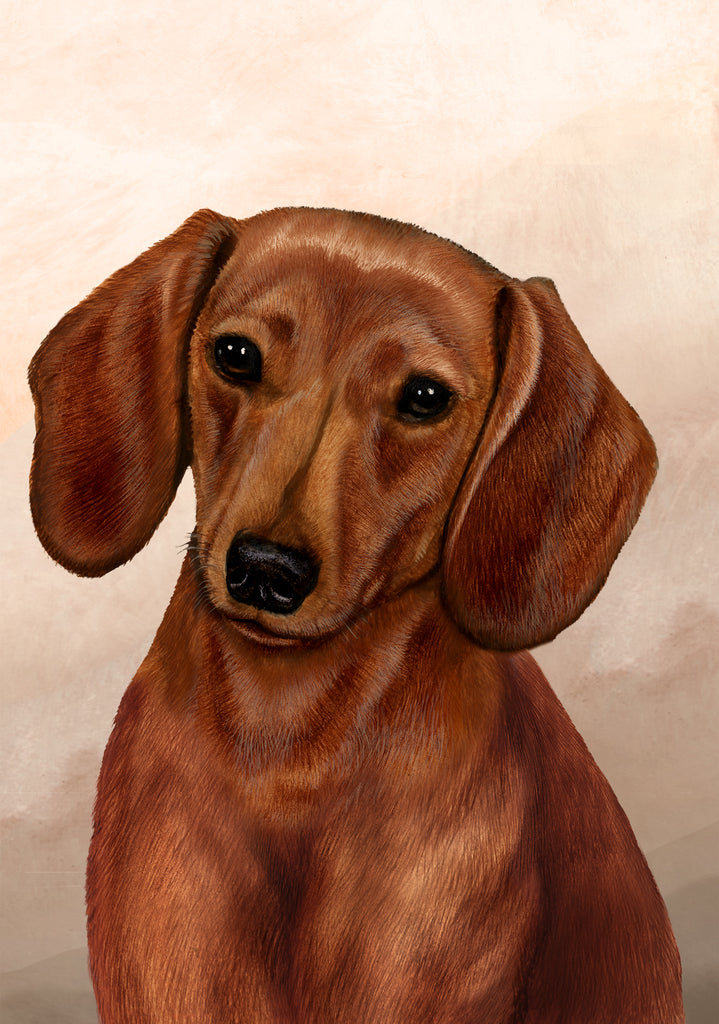 Dachshund Red Dog by Tamara Burnett Blank Greeting Card 5x7 | 1044 | 259187