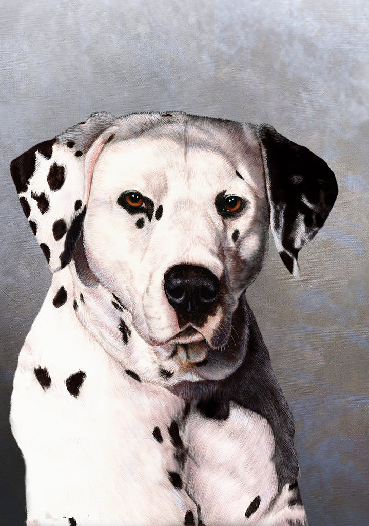 Dalmatian Dog by Tamara Burnett Blank Greeting Card 5x7 | 1046 | 259189