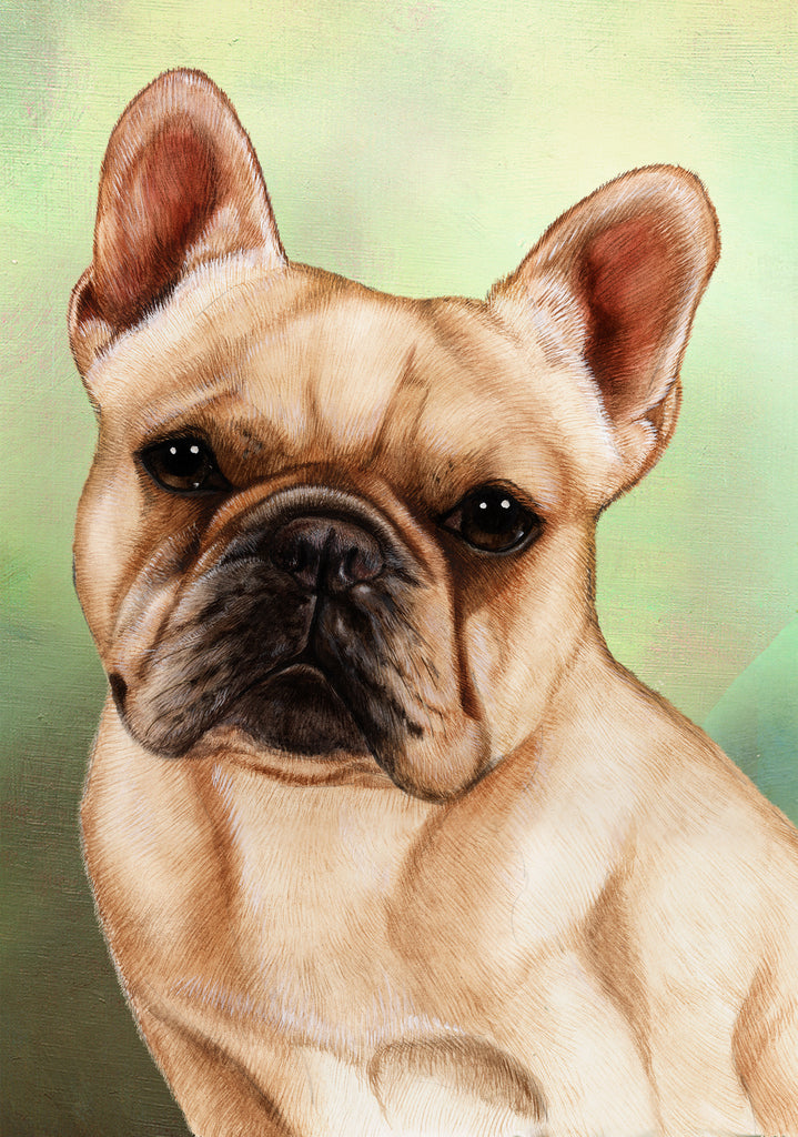 French Bulldog Dog by Tamara Burnett Blank Greeting Card 5x7 | 1051 | 259194