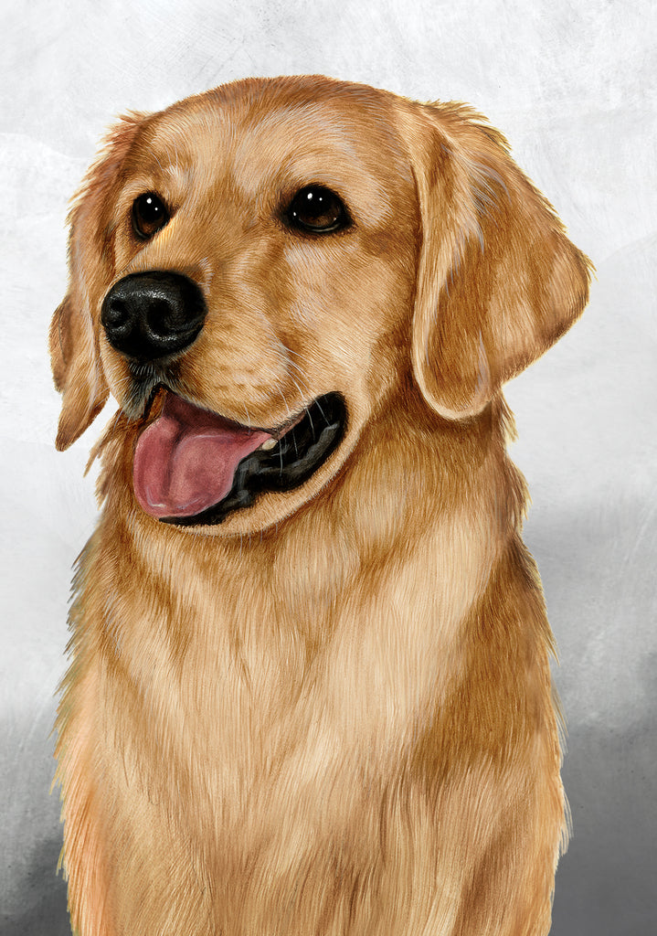 Golden Retriever Dog by Tamara Burnett Blank Greeting Card 5x7 | 1054 | 259197