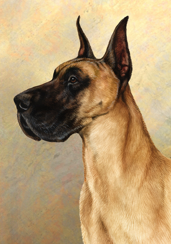 Great Dane Dog by Tamara Burnett Blank Greeting Card 5x7 | 1058 | 259201