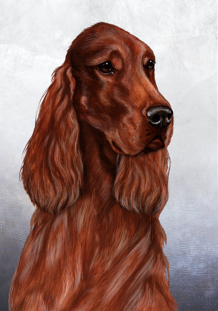 Irish Setter Dog by Tamara Burnett Blank Greeting Card 5x7 | 1061 | 259204