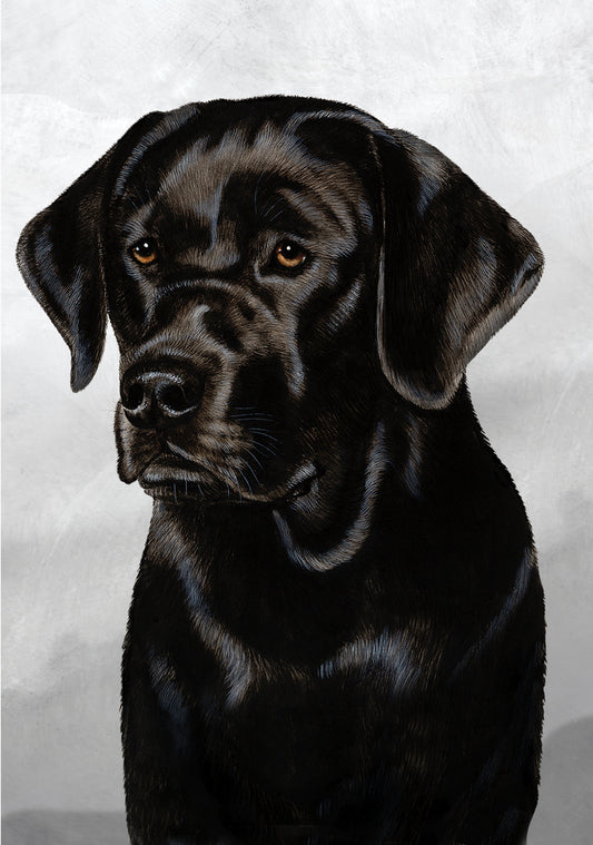 Labrador Retriever Black Dog by Tamara Burnett Blank Greeting Card 5x7 | 1068 | 259211