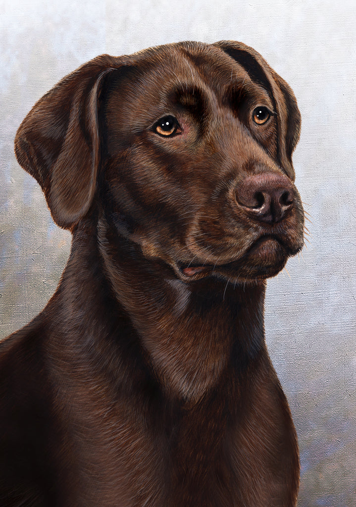 Labrador Chocolate Dog by Tamara Burnett Blank Greeting Card 5x7 | 1069 | 259212