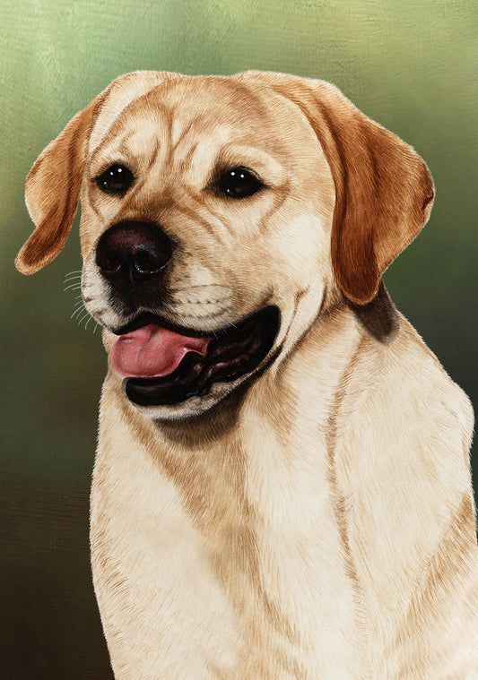 Labrador Yellow Dog by Tamara Burnett Blank Greeting Card 5x7 | 1071 | 259214