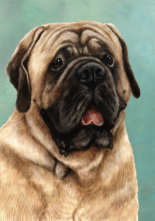 Mastiff Dog by Tamara Burnett Blank Greeting Card 5x7 | 1075 | 259218